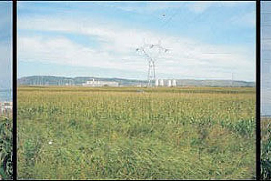 OHL 220 kV Iernut-Ungheni of Transelectrica